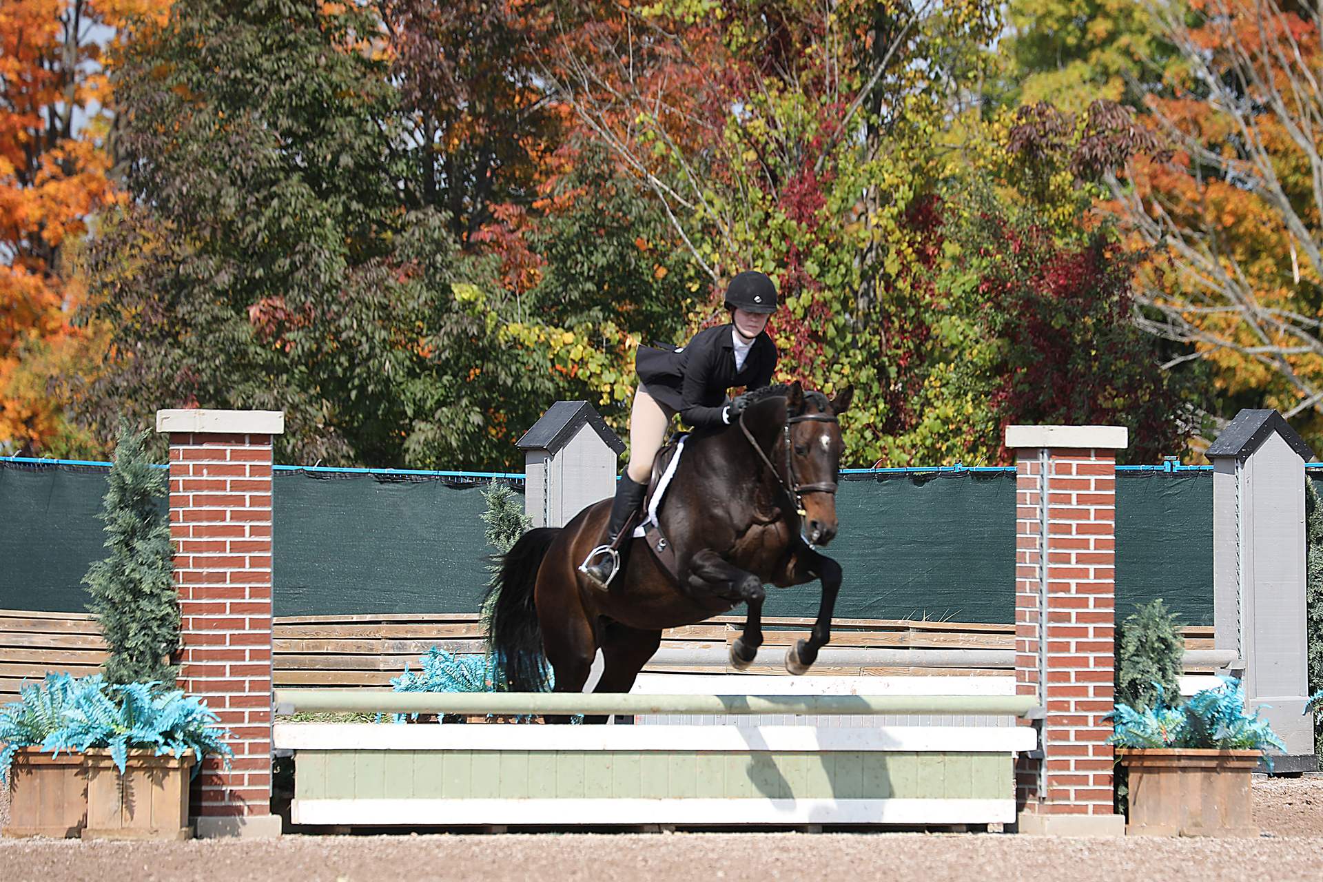 Family owned and operated hunter/jumper facility